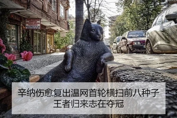 xin-na-shang-yu-fu-chu-wen-wang-shou-lun-heng-sao-qian-ba-zhong-zi-wang-zhe-gui-lai-zhi-zai-duo-guan-2-553.jpg