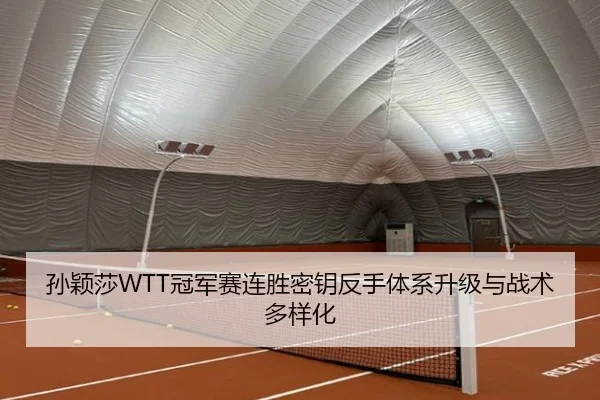 sun-ying-sha-guan-jun-sai-lian-sheng-mi-yao-fan-shou-ti-xi-sheng-ji-yu-zhan-shu-duo-yang-hua-3-425.jpg