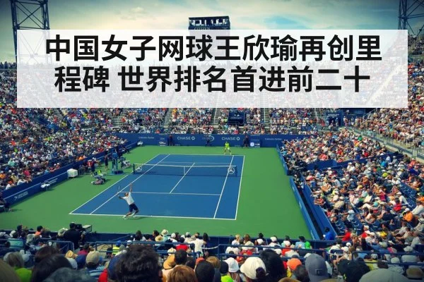 professional tennis match
