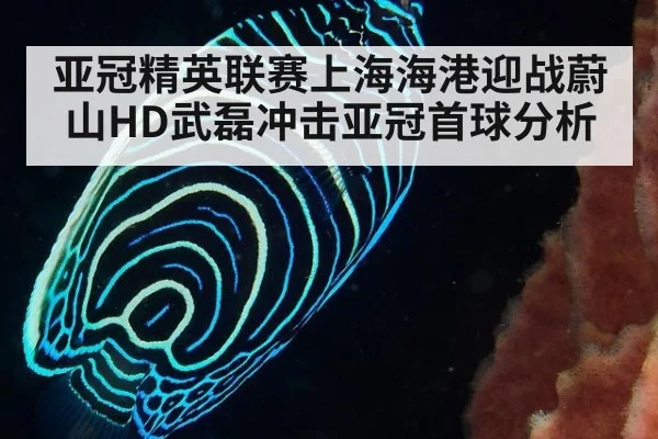 亚冠精英联赛上海海港迎战蔚山HD武磊冲击亚冠首球分析